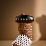 SAUER--PULSEIRA-7-CHAKRAS_2