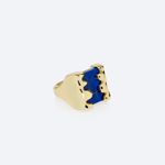 Anel Blob-1760648788486