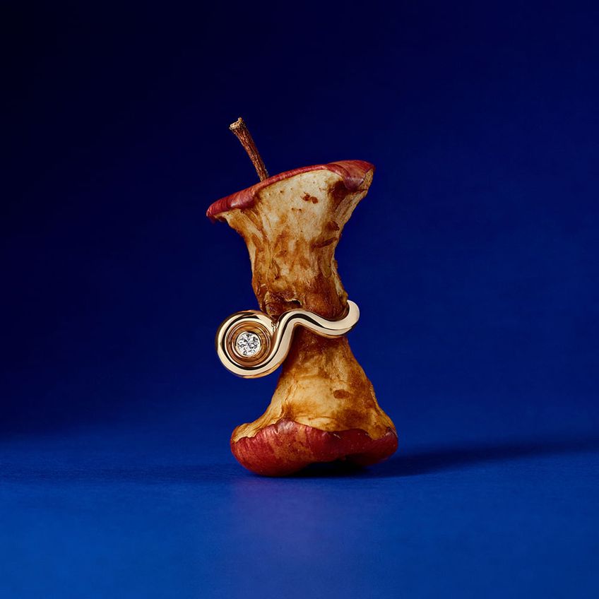 Anel Armillaria Diamante