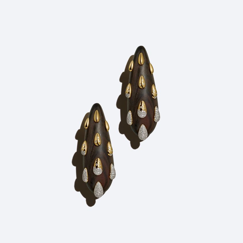 Brincos Ramus Occultus