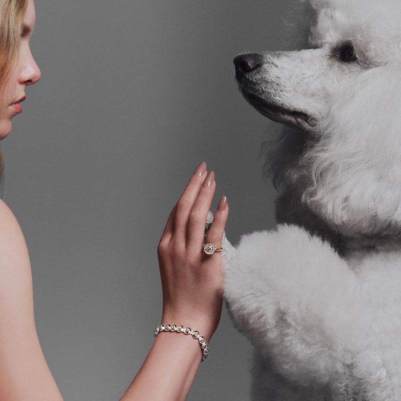 Anel Frames Solitário-1774029528266