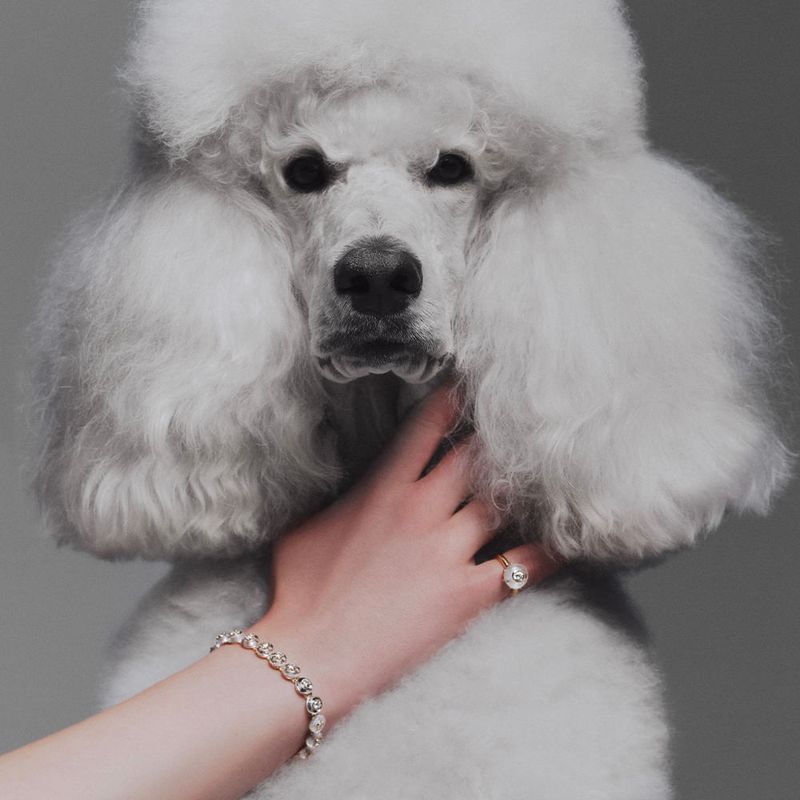 Anel Frames Solitário-1774029536420