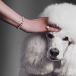 Anel Frames Solitário-1774029545348