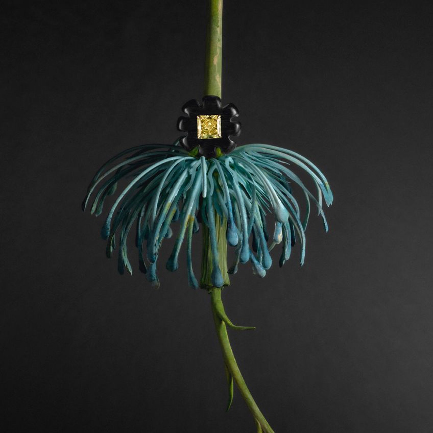 Anel Heartwood Bloom