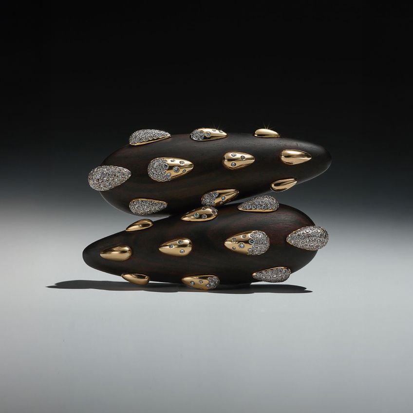 Brincos Ramus Occultus